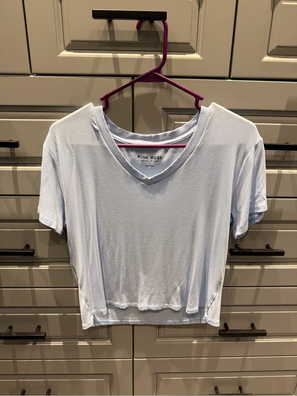 Pink Rose Pale Blue V-Neck Cropped Tee